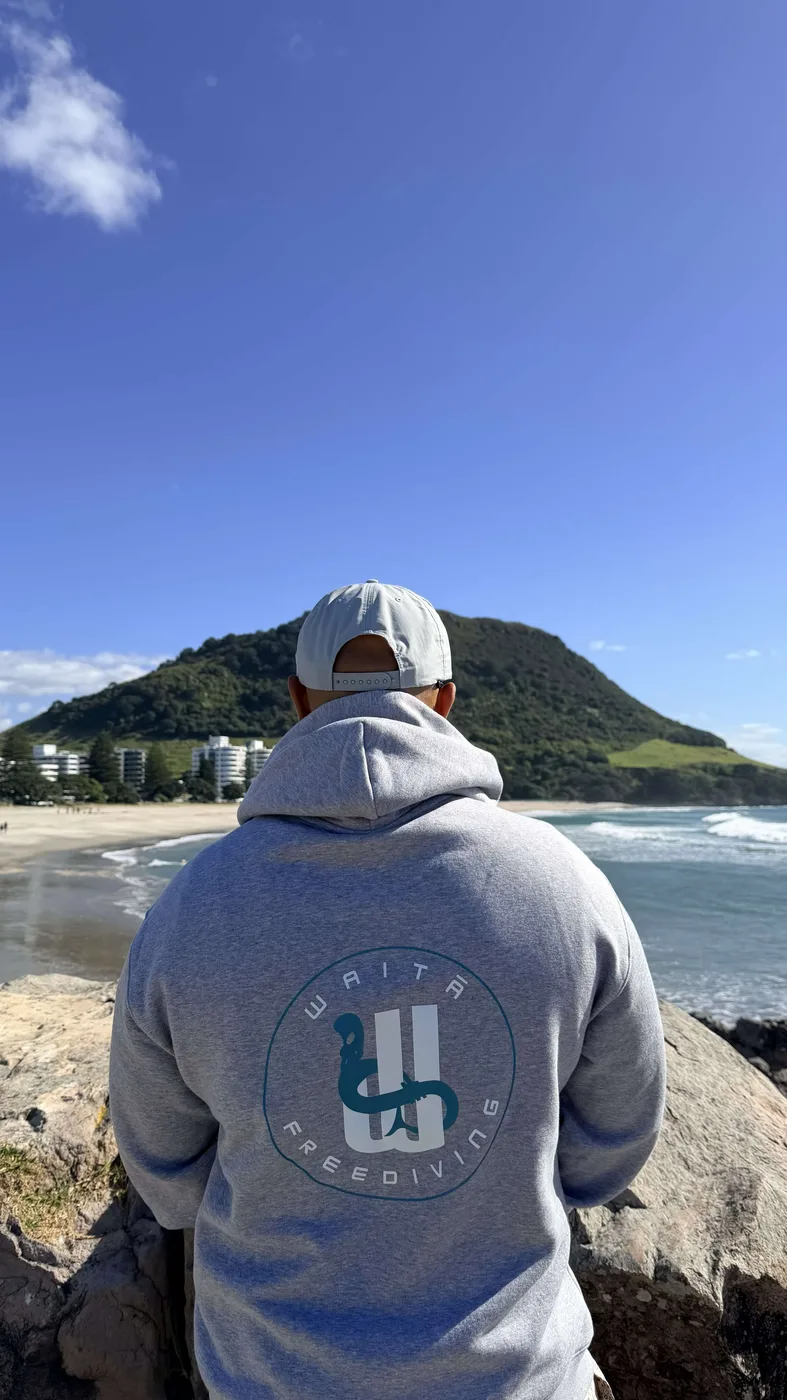 Waitā Poraka hoodie in kiwikiwi, back view