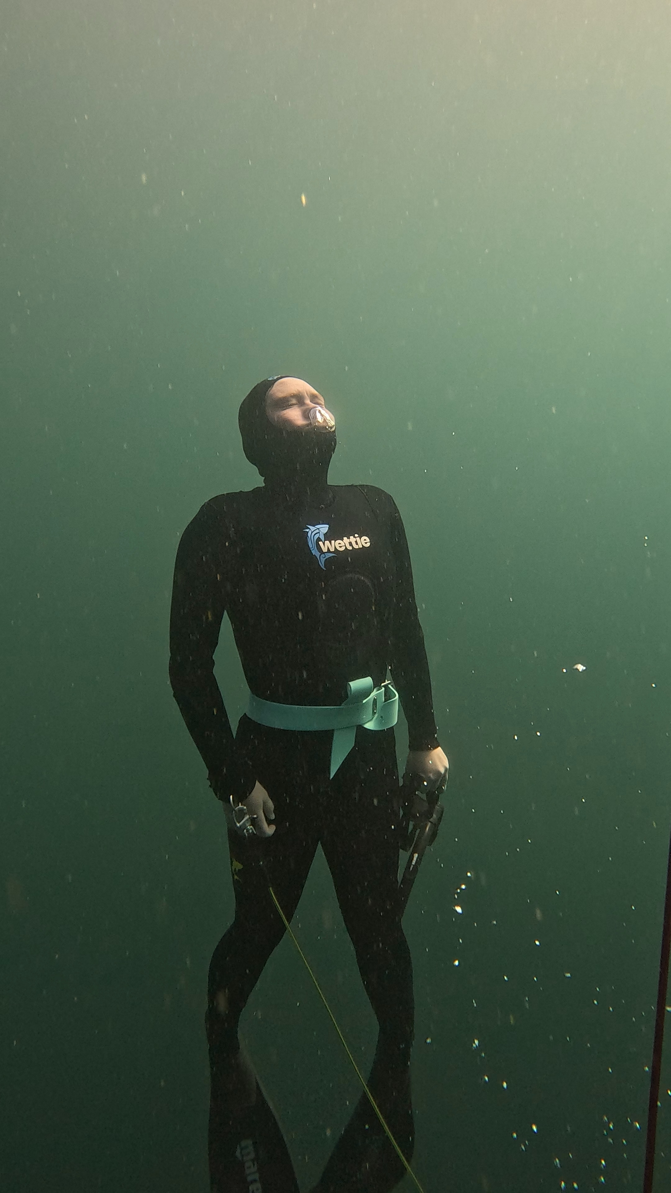 Diving wānanga